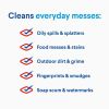 Clorox Disinfecting All Purpose Cleaner Bleach Free, Crisp Lemon, 32 fl oz